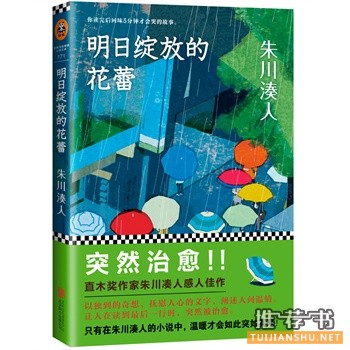 2014年温暖治愈系的热门畅销书籍