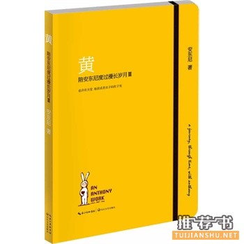 2014年温暖治愈系的热门畅销书籍