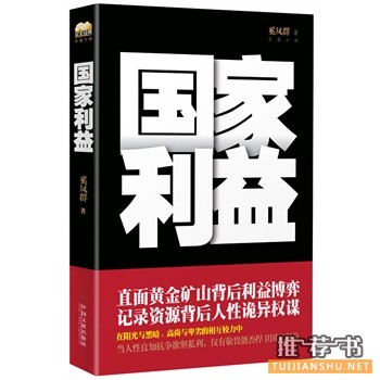 奚凤群政商小说《国家利益》出版上市