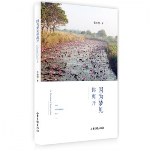 张怡微新书《因为梦见你离开》出版上市