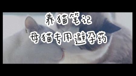 猫专用避孕药（猫专用避孕药多少钱）