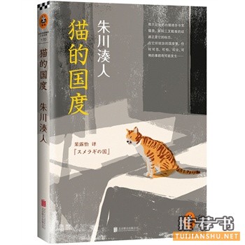 猫的国度