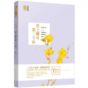 沈绿衣最新甜宠力作《世上哪有第二个你》一个关于真相/救赎的故事