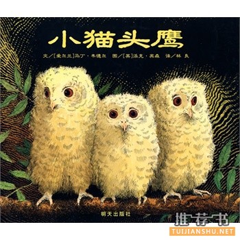 十大情绪与品格绘本书单推荐