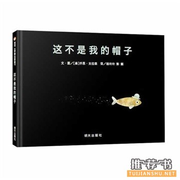 这不是我的帽子