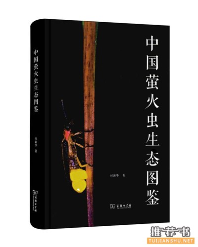 与自然相遇的10本好书推荐