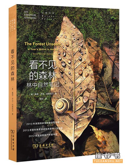 与自然相遇的10本好书推荐