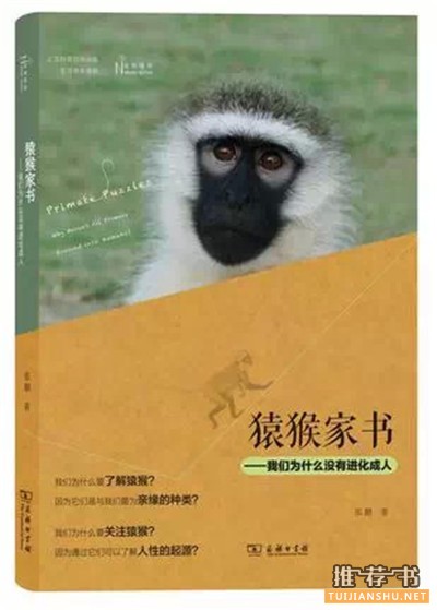 与自然相遇的10本好书推荐