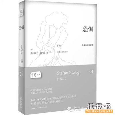 推荐关于茨威格的书有哪些?十本书读懂茨威格!