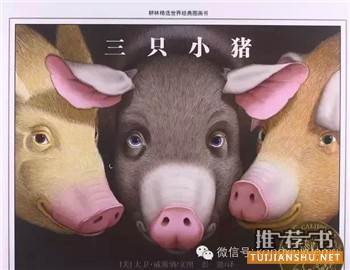 16本国内外孩子最常读的书