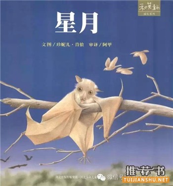 16本国内外孩子最常读的书