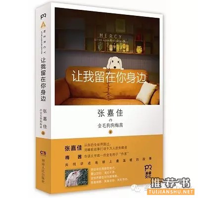 十本小说超值必买书单推荐