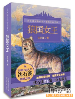 中学版暑假看这几本就够了