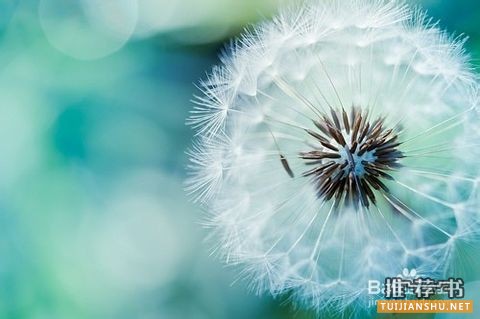 347心理学专硕考研教材书单推荐