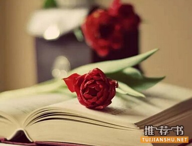 读书是需要，不是高雅