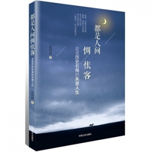 沈明明作品都是人间惆怅客走进历史名角的失意人生