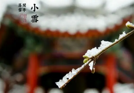 2022年小雪节气艾灸有什么好处 小雪节气适合做什么