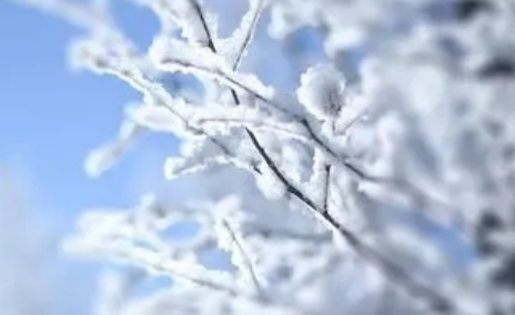 2022年小雪节气艾灸有什么好处 小雪节气适合做什么