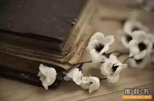 书单推荐丨一天就可以读完的书