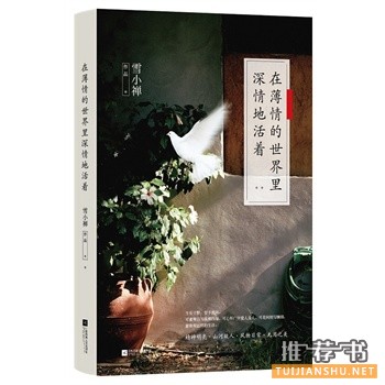 雪小禅作品《在薄情的世界里深情地活着》出版上市