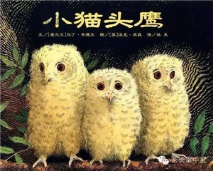 孩子不愿上幼儿园，怕分离怎么办？看看这些书就好了