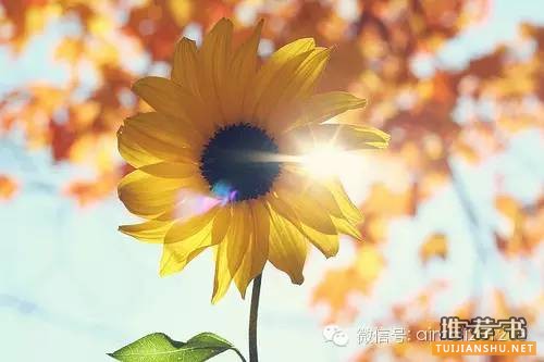 开学在即, 给孩子的分年级书单推荐