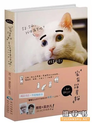 推荐几本有关猫的书 | 萌猫出没,请注意