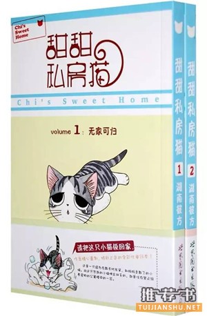 推荐几本有关猫的书 | 萌猫出没,请注意