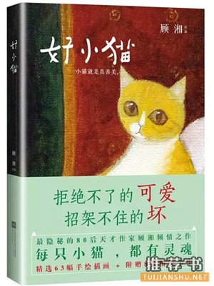推荐几本有关猫的书 | 萌猫出没,请注意