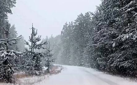 2023春节下雪是不是瑞雪 春节下雪有没有什么说法