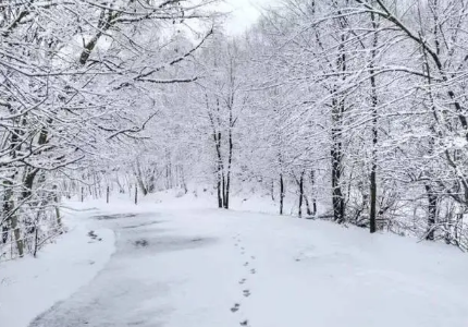 正月里下雪是好兆头吗 正月里下雪有什么说法