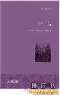 书单丨用冷门好书给你温暖童梦