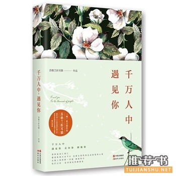 苏格兰折耳猫作品《千万人中,遇见你》出版上市