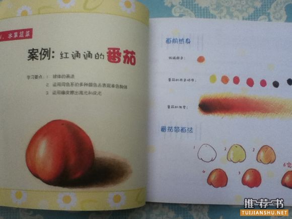 彩铅书籍推荐,各阶段彩铅学习书籍介绍与心得