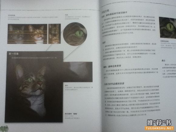 彩铅书籍推荐,各阶段彩铅学习书籍介绍与心得