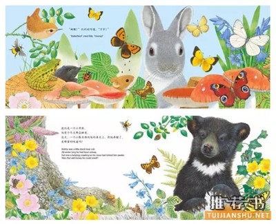低幼绘本书单||悦读