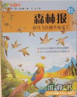 绘本的世界中寻找秋天的童话