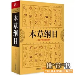 琅琊榜高手枕边书