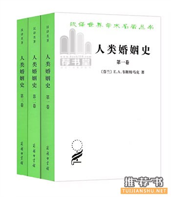 关于爱情、婚姻与性的10本书推荐
