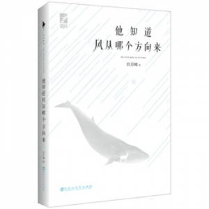 玖月晞作品他知道风从哪个方向来出版上市