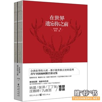 杨树鹏作品在世界遗忘你之前出版上市
