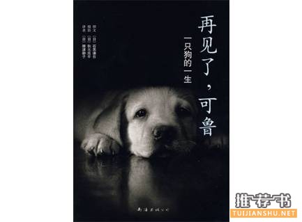 豆瓣高评分的温情治愈系小说推荐