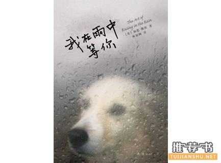 豆瓣高评分的温情治愈系小说推荐