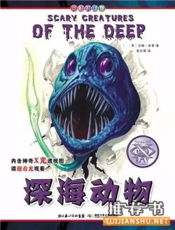 童书推荐关于