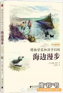 童书推荐关于