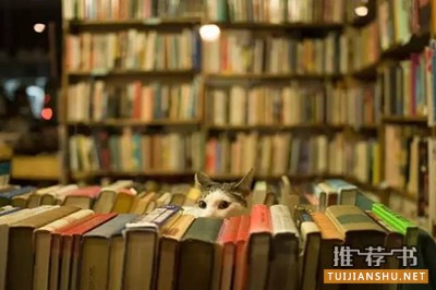 书单|2015年11月新书汇