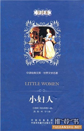 十部小说,十个圣诞节