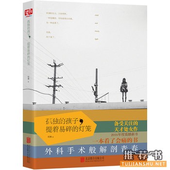 短痛作品《孤独的孩子,提着易碎的灯笼》出版上市