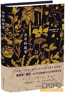 2015,我们的年度书单