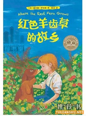 2015年度最受读者喜爱的儿童文学